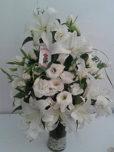 Beyaz Lisyanrus Lilyum