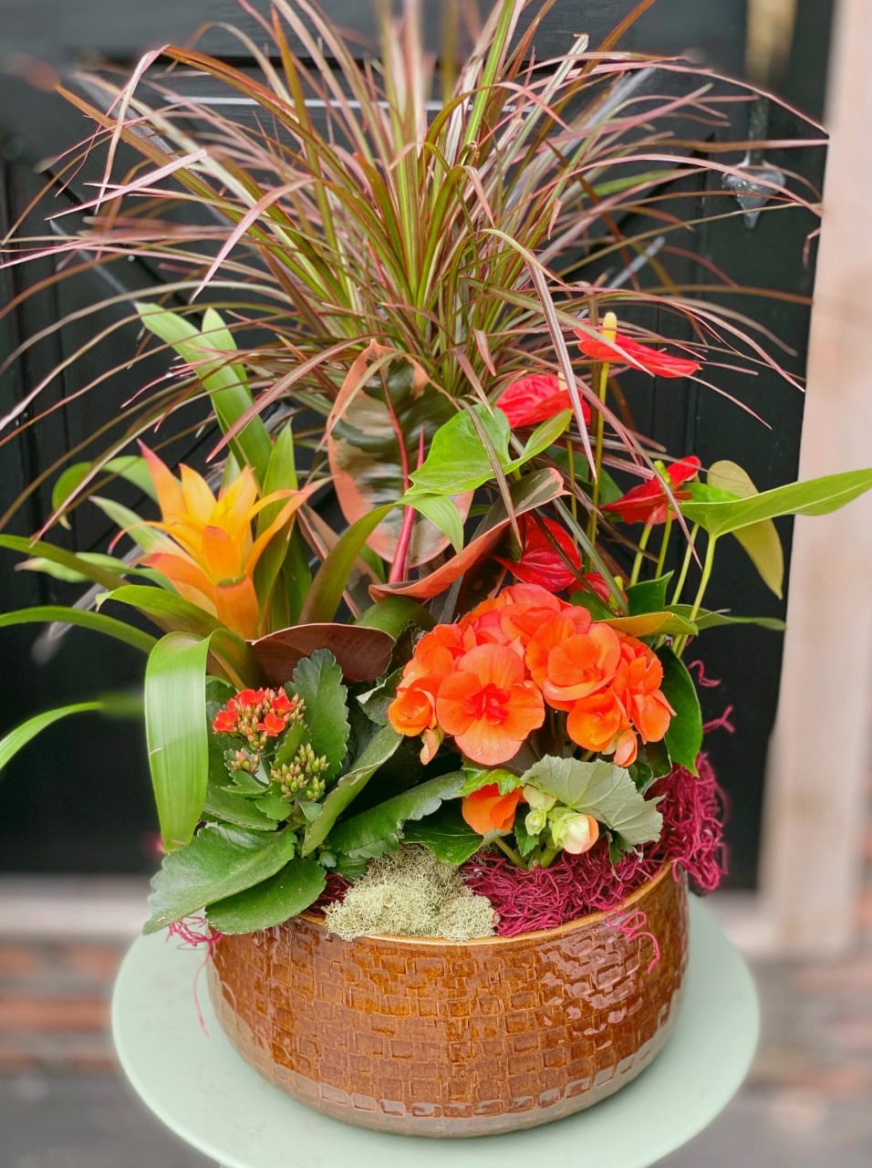 Dresinya iekli Bahesi