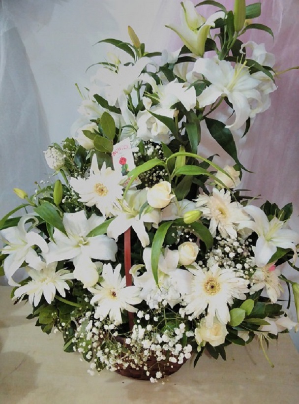 Beyaz- Sepette Arajman