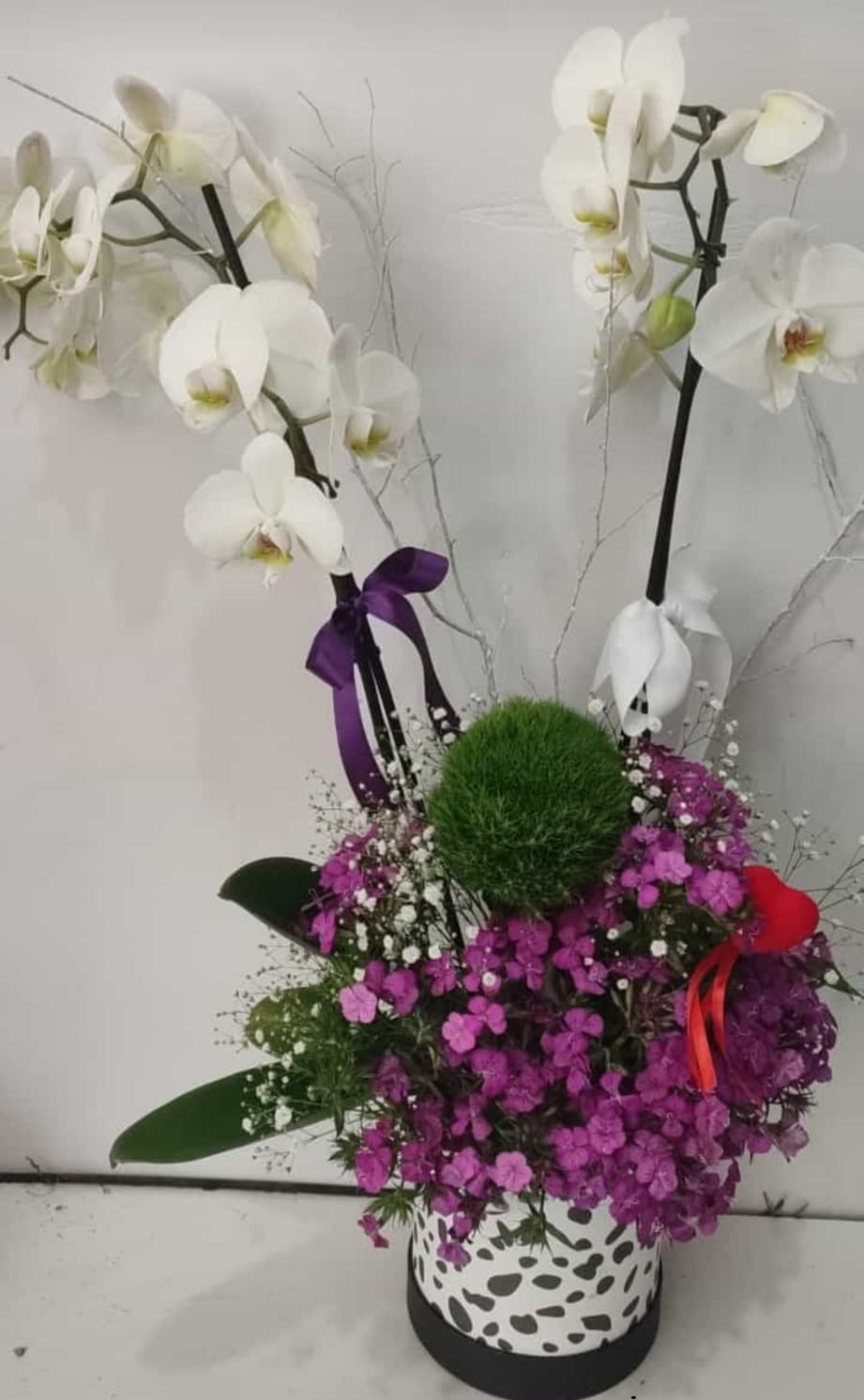 ift Dall Orkide Aranjman