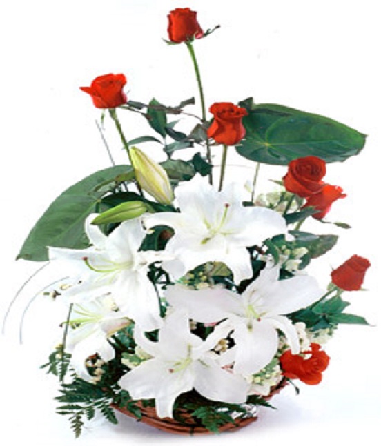 lilyum-sepet-arajmani