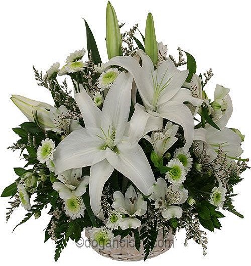 beyaz-arajman-sepeti