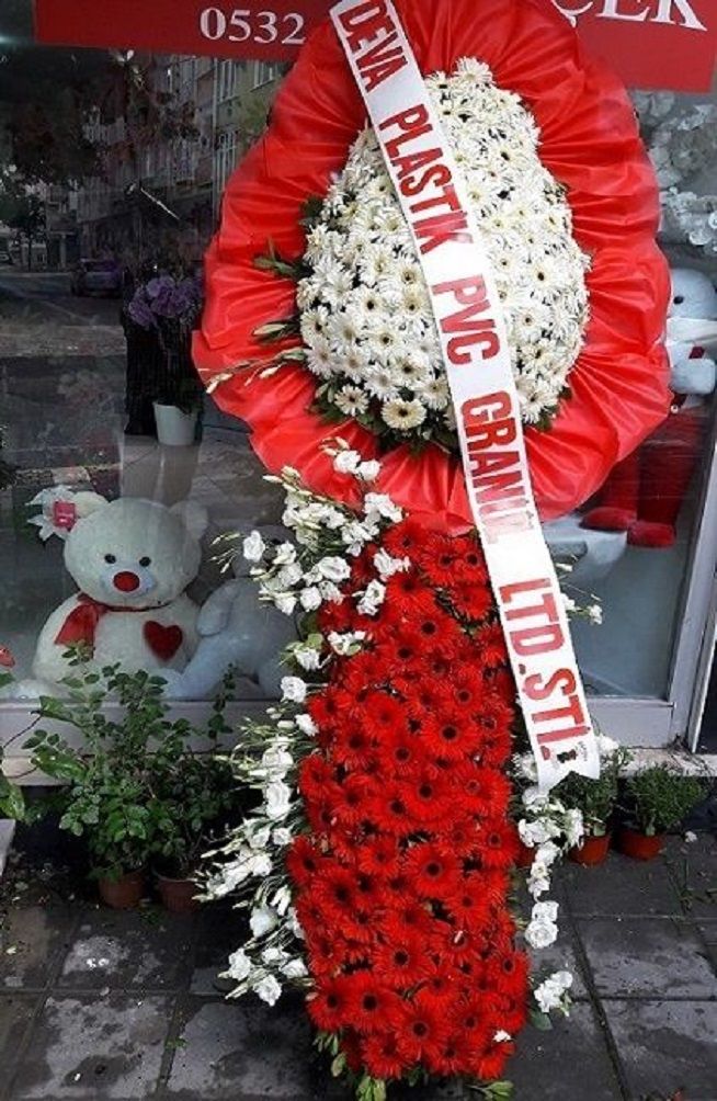 lux-acilis-duun-cicei