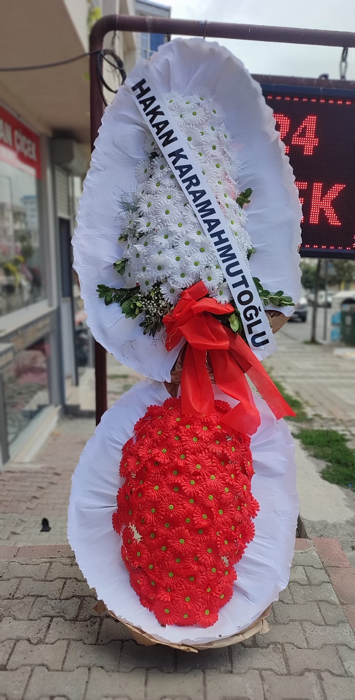 vip-celenk-duun-acilis-icin