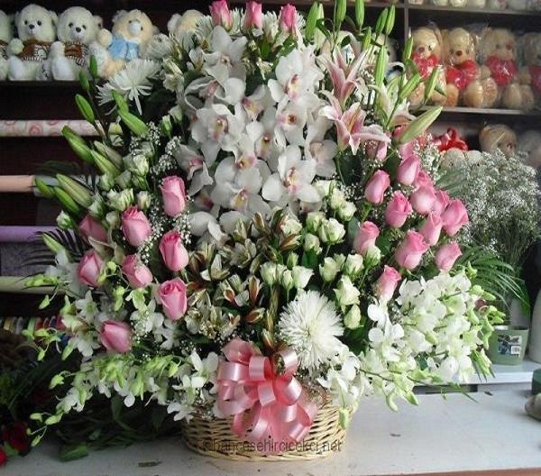 holiday-sepet-vip-arajman