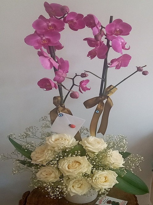 ciftli-pembe-orkide-beyaz-gullu