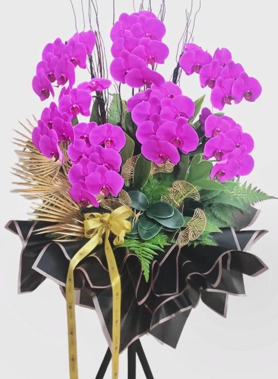 herforje-fusya-orkideler