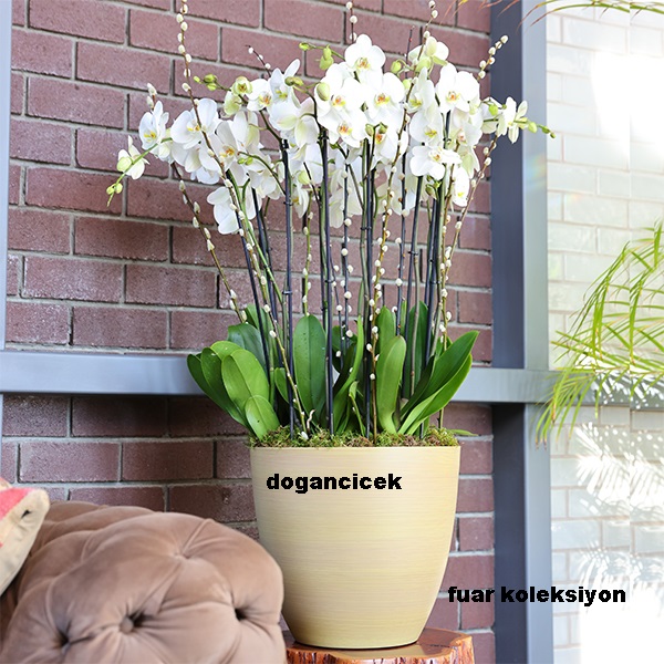 tuyap-fuar-koleksiyon